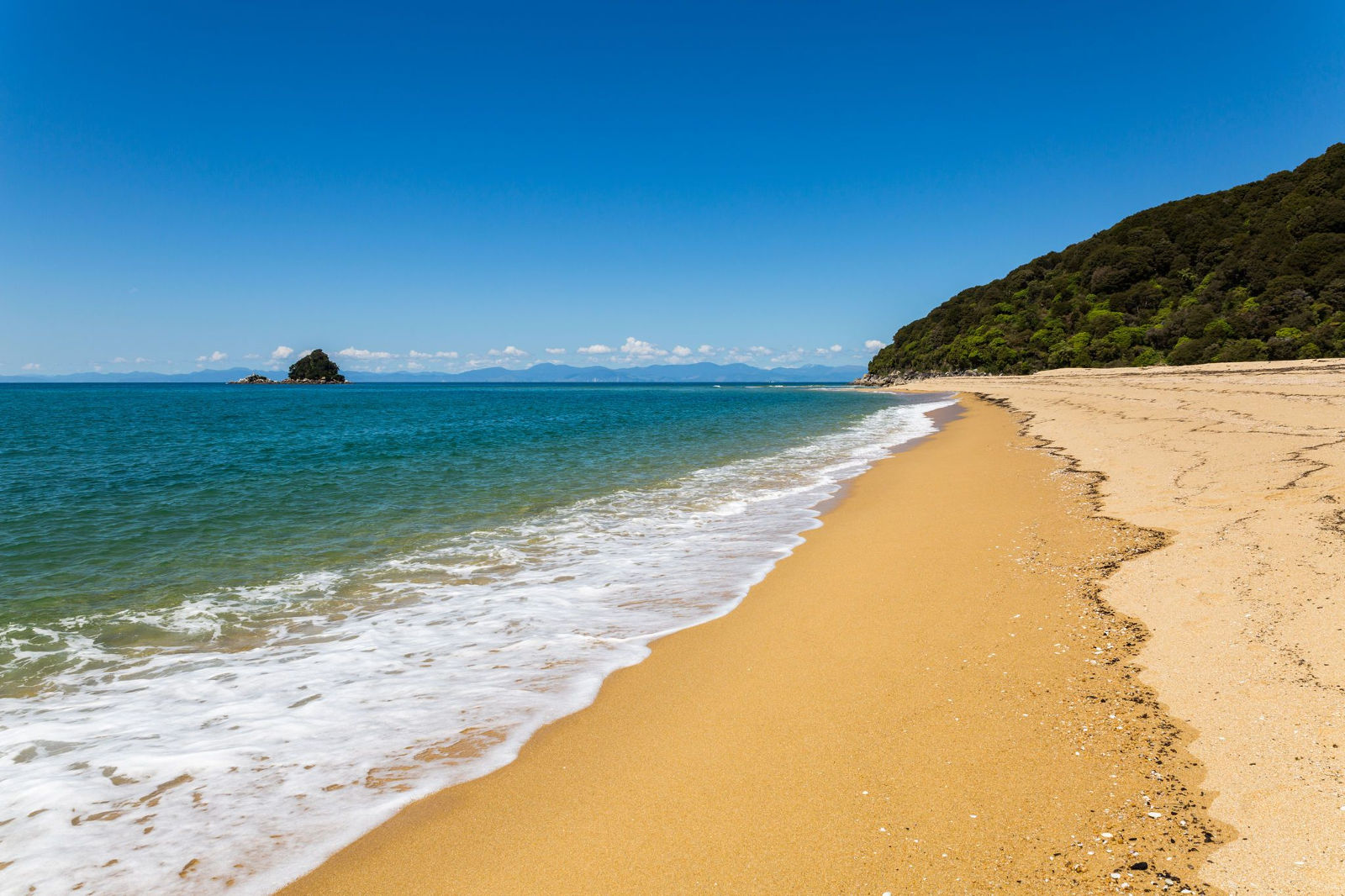 Abel Tasman & West Coast