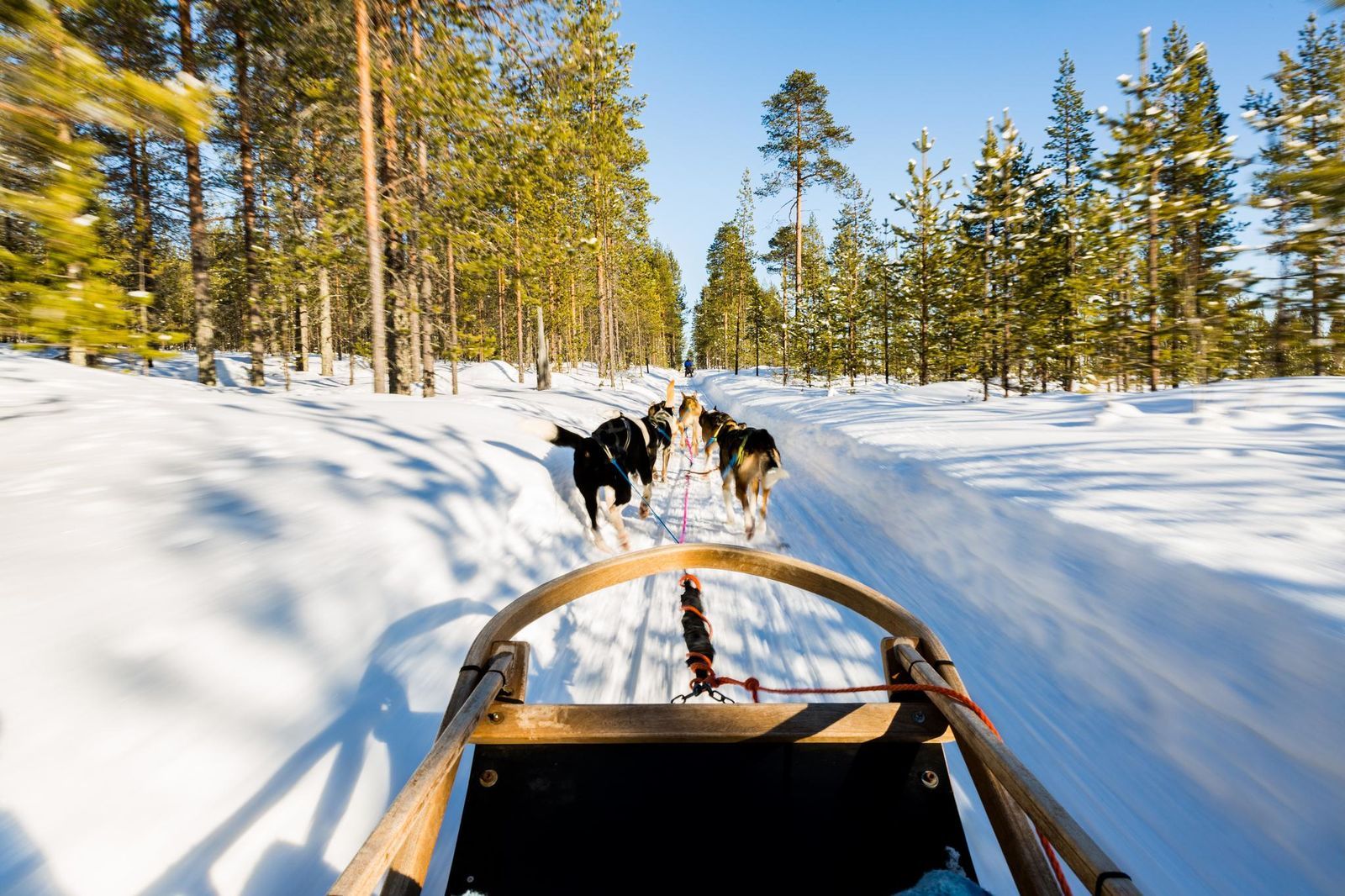 Laponie, ce Rêve Blanc