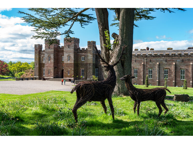 L'Écosse en famille : Des Highlands à Édimbourg