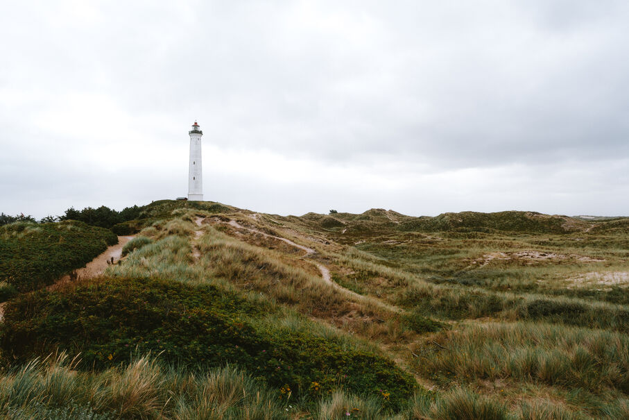 Le phare de Lyngvig émerge au loin au milieu des dunes