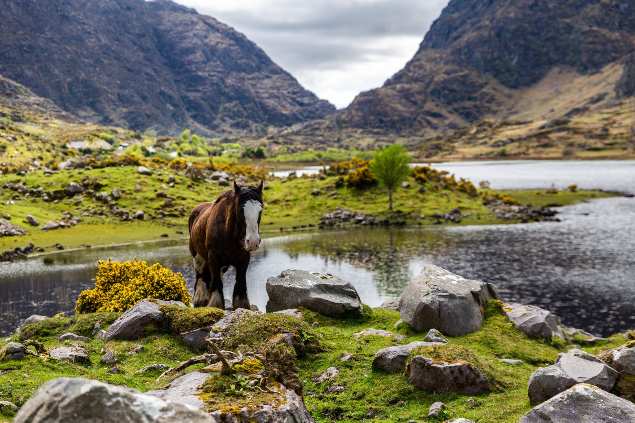 Gap of Dunloe