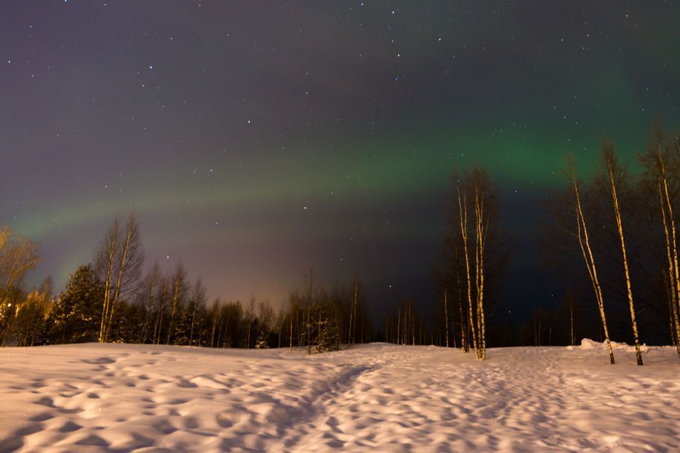 Aurore boréale dans le ciel de Rovaniemi