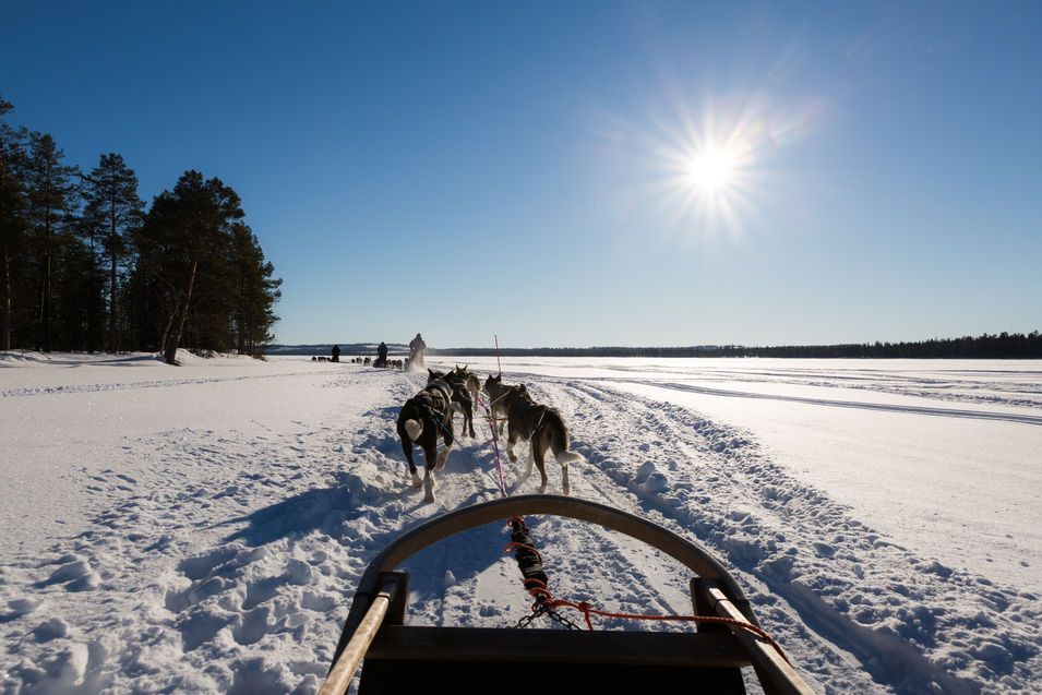 Balade en Chiens de Traîneau sur le lac gelé