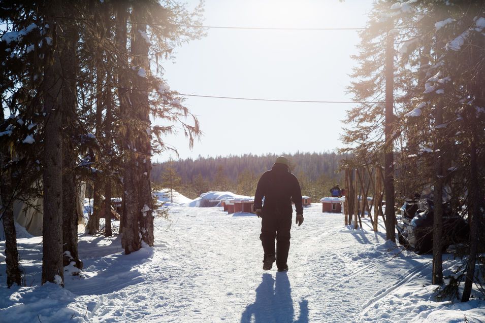 Valentijn, le responsable de BearhillHusky