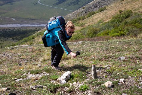 Savage Alpine Trail