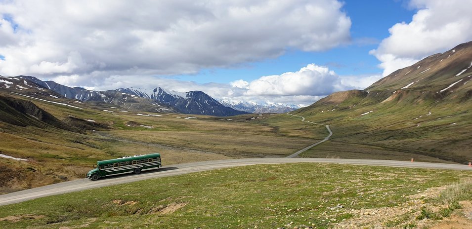 Les bus officiels du Parc de Denali