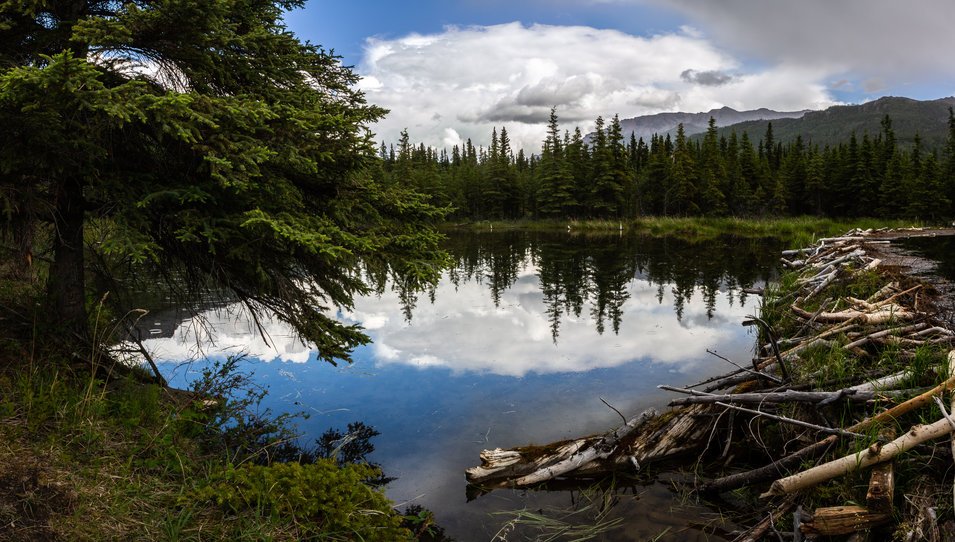 Randonnée le long de Horseshoe Lake