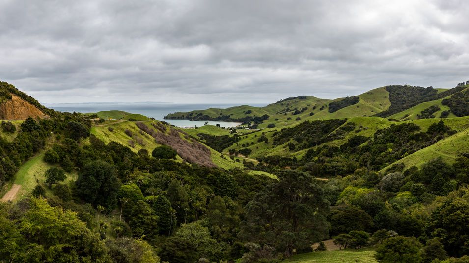 Vue panoramique sur la Péninsule de Coromandel