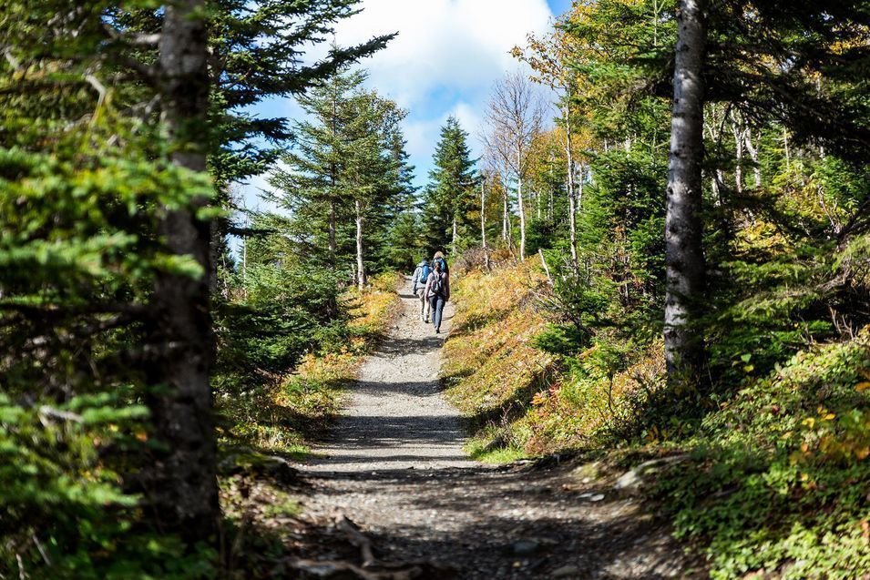 Parc National de la Gaspésie