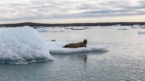 Jökulsárlón