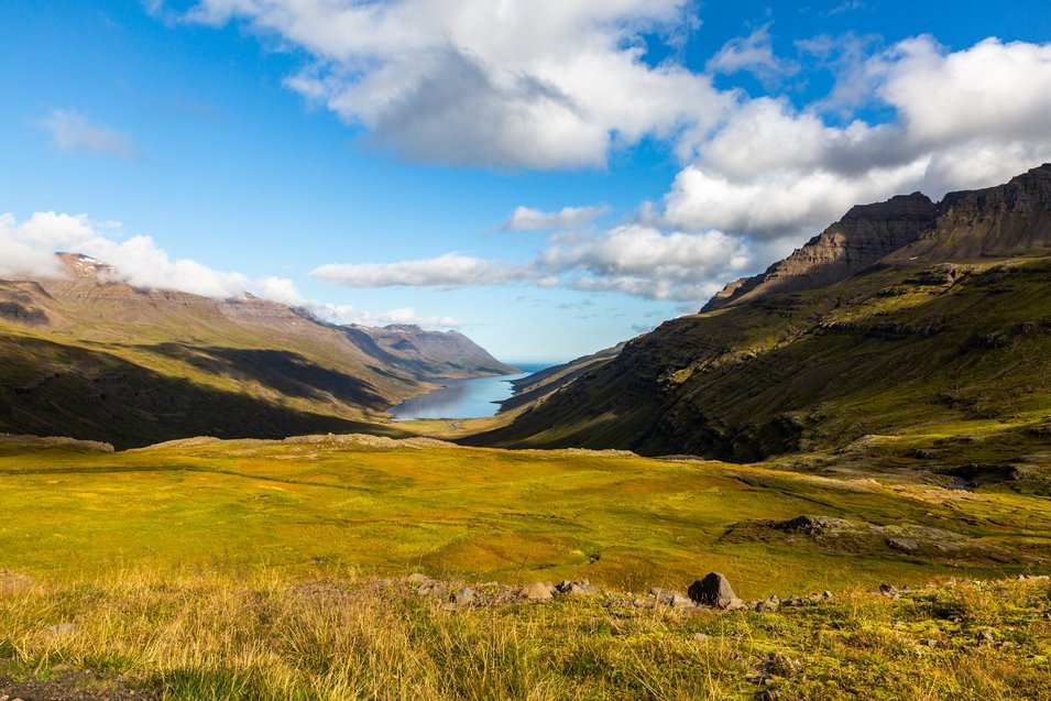 Fjord Mjoifjordur