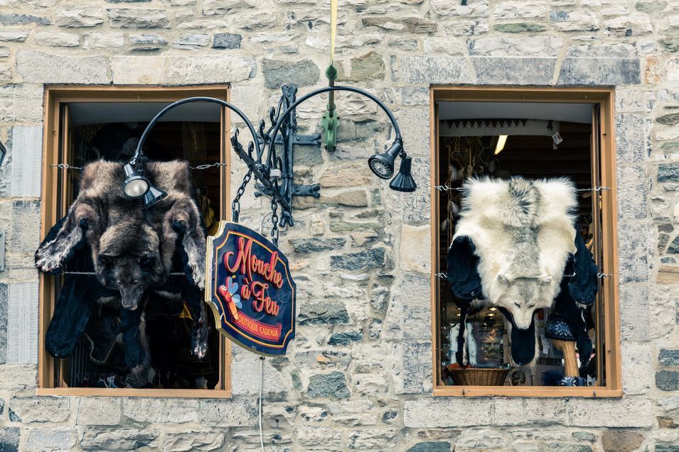 Une façade de boutique à Québec