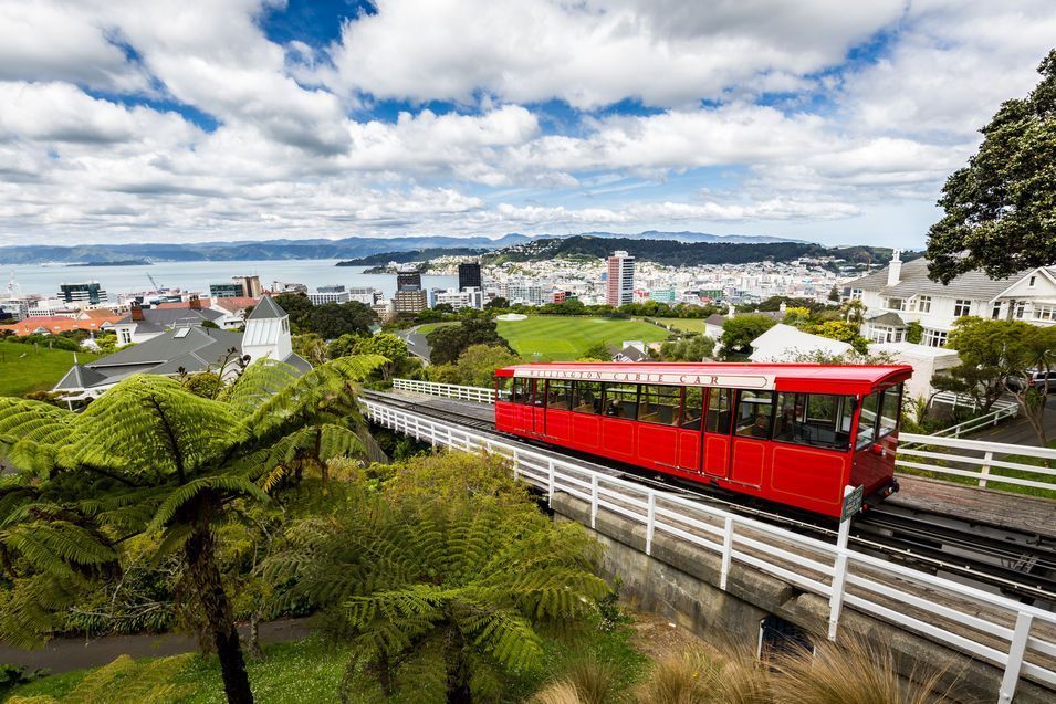 Vue sur Wellington depuis le jardin botanique