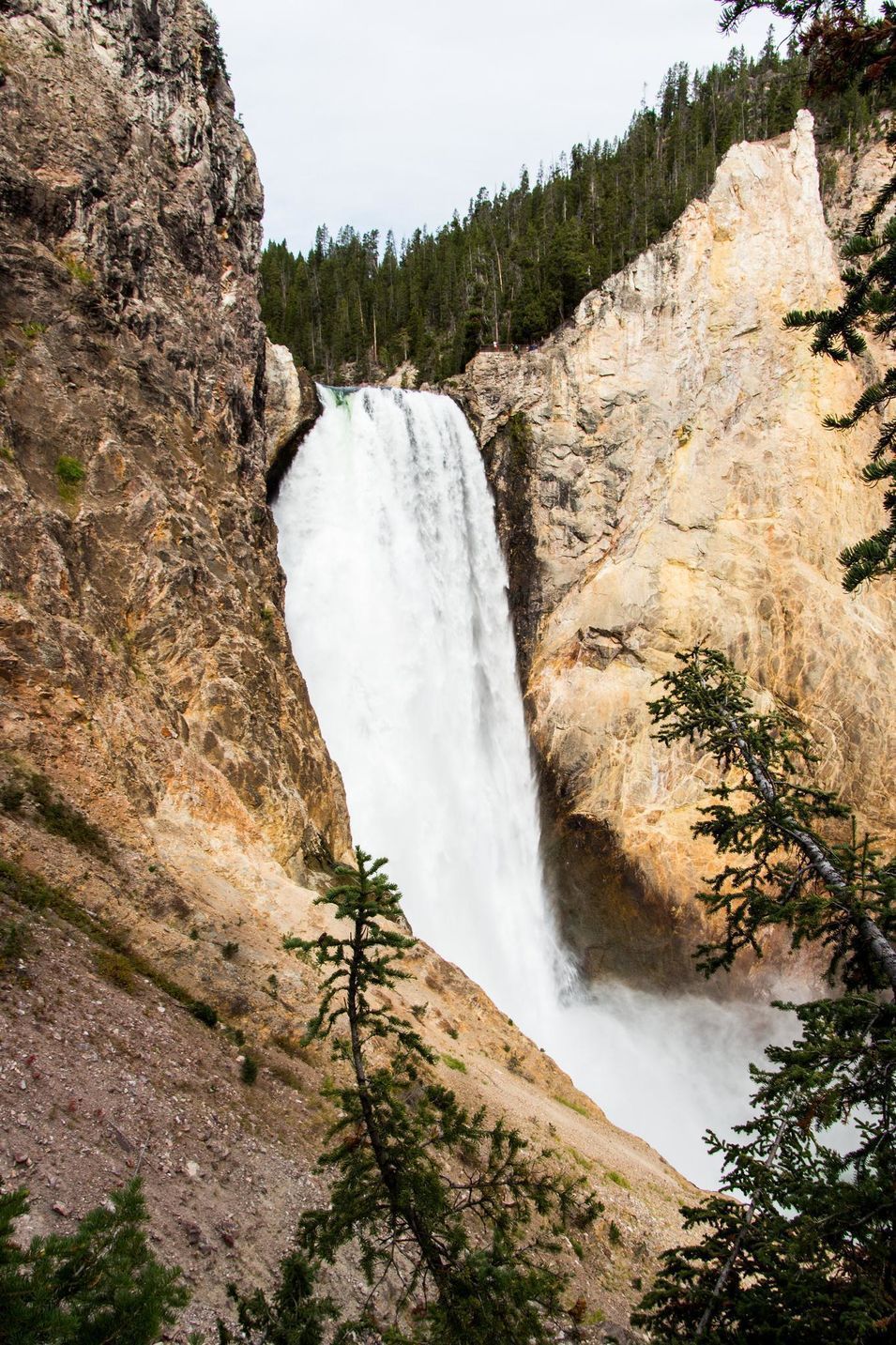 Le Grand Canyon de Yellowstone