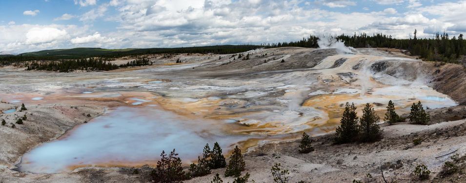 Norris Geyser Basin